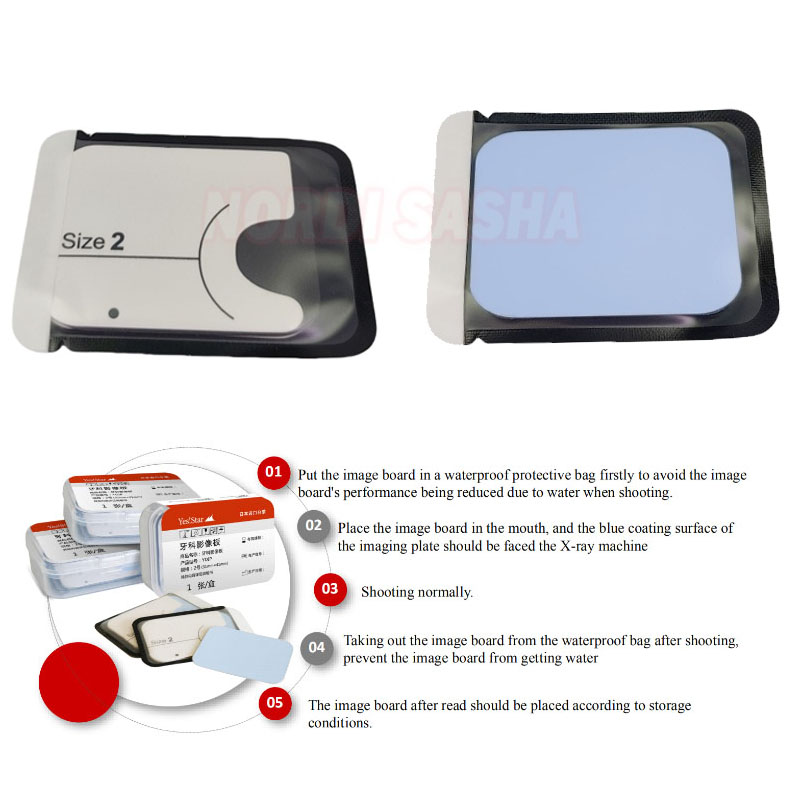 Medical X - 1 pz Dental Fosforo Immagine Piastra