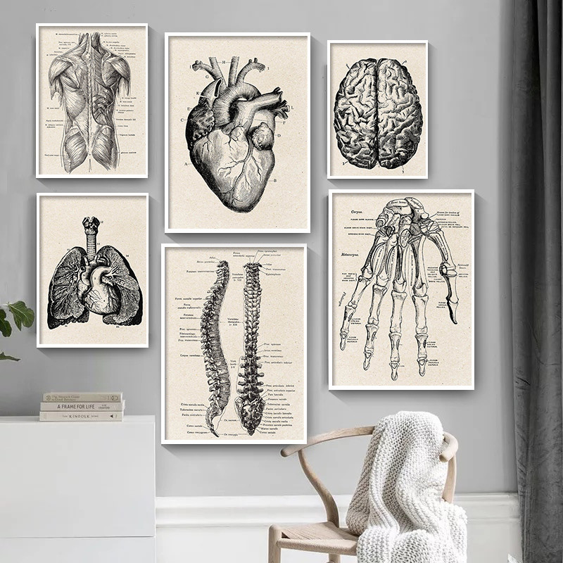 Medical Lab Posters - Poster artistico su tela con opere
