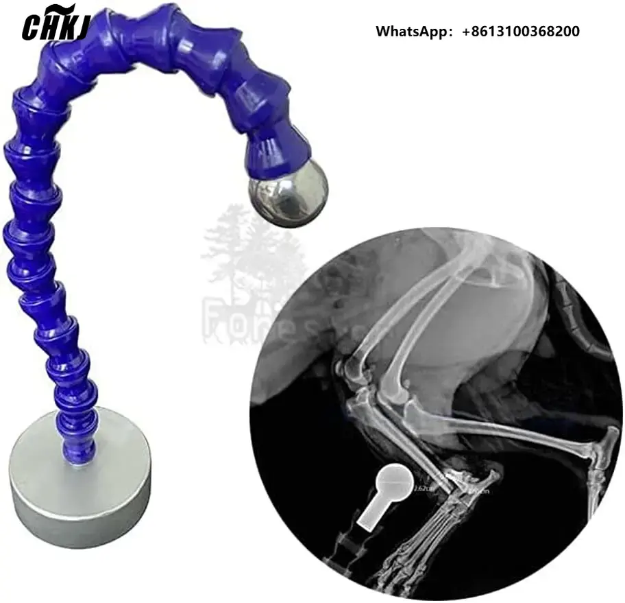 Veterinary X-Ray - Sfera di Riferimento per Radiografia Veterinaria,
