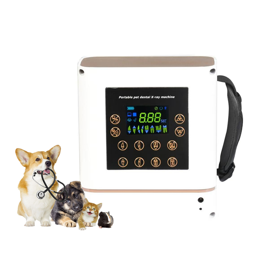 Macchina Radiografica Dentale  - Veterinary X-Ray recensione e prezzo