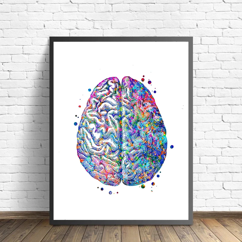 Anatomy Medical Poster Flower  - Medical Lab Posters recensione e prezzo