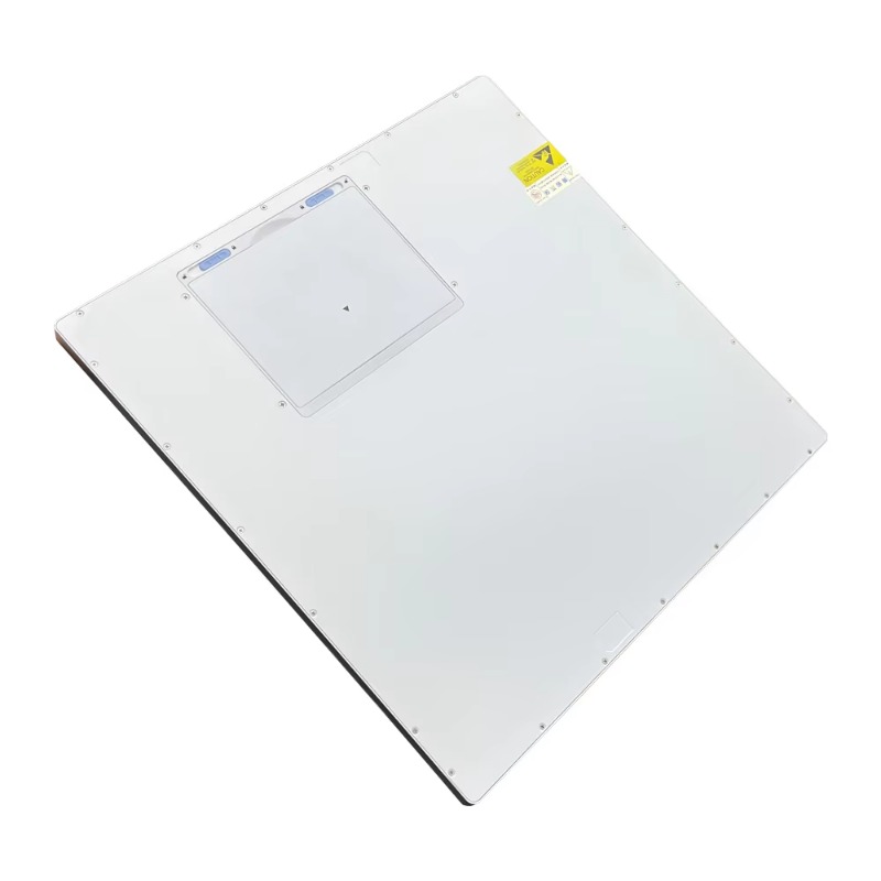 Rilevatore a pannello piatto D - Veterinary X-Ray recensione e prezzo