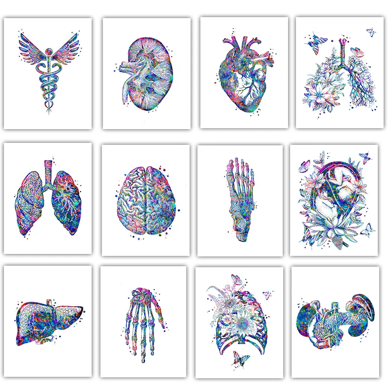 Poster Anatomico Medico con Or - Medical Lab Posters recensione e prezzo