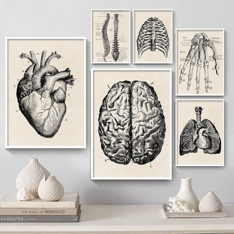 Poster artistico su tela con o - Medical Lab Posters recensione e prezzo