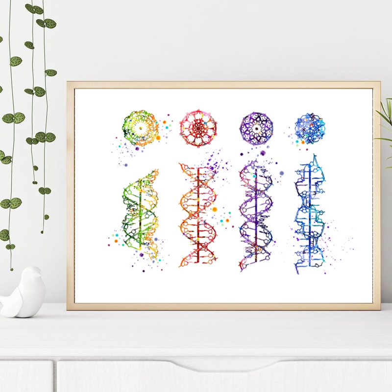 Molecola di DNA Stampa Moderna - Medical Lab Posters recensione e prezzo