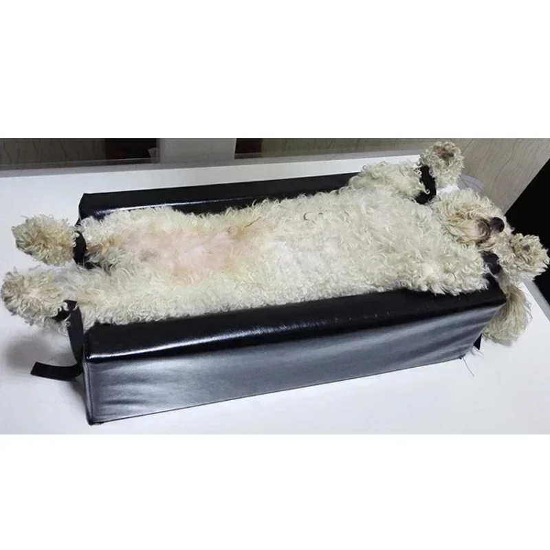 Macchine utensili per radiogra - Veterinary X-Ray recensione e prezzo